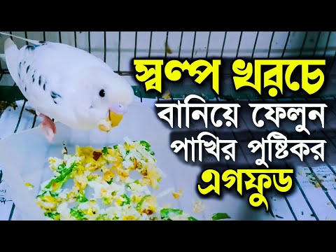 Preparing Egg Food for Budgies Parrot l How to feed Budgies l how to make Egg food for Budgies