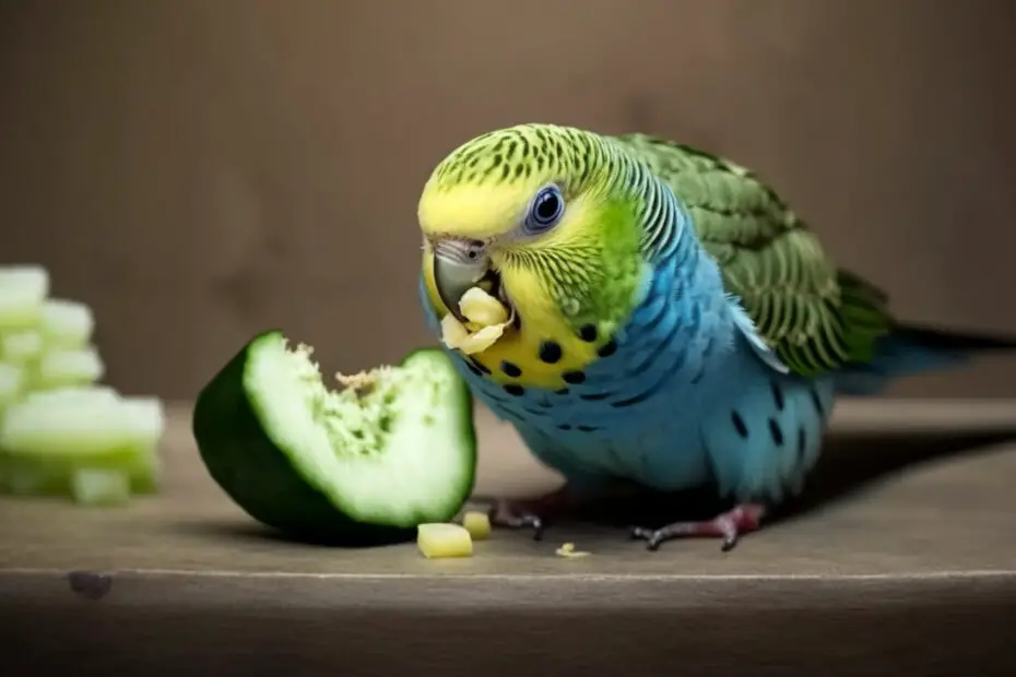 Can Budgies Eat Cucumber