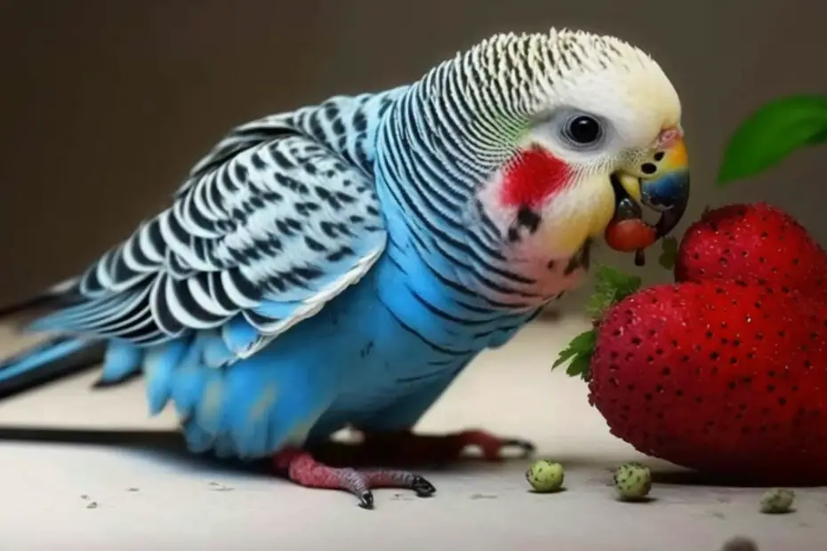 Can Budgies Eat Strawberries