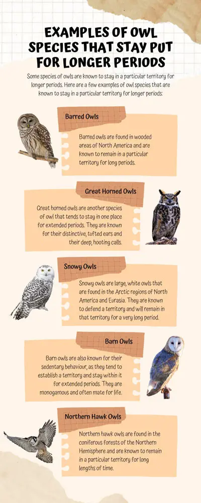 Examples Of Owl Species That Stay Put For Longer periods