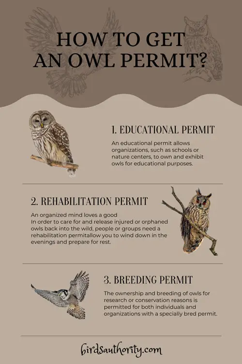 How to Get an Owl Permit