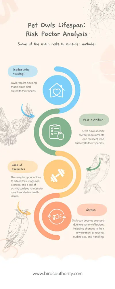 Pet Owls Lifespan: Risk Factor Analysis