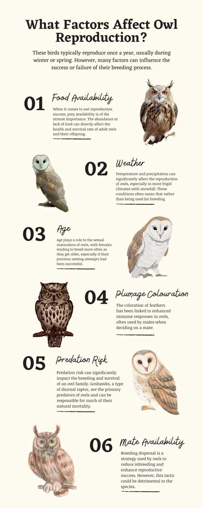 What Factors Affect Owl Reproduction
