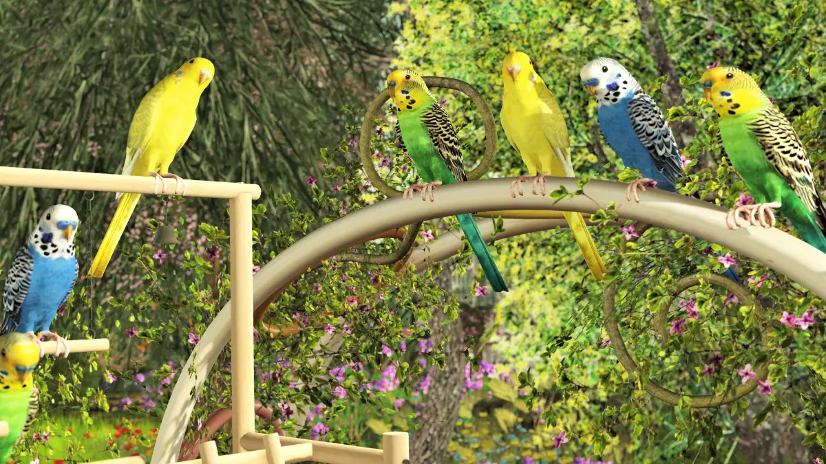 How Much Does a Budgie Cost? Everything You Need to Know