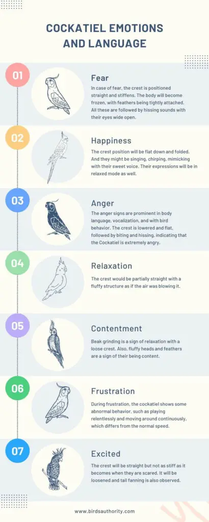 Cockatiel Emotions and Language