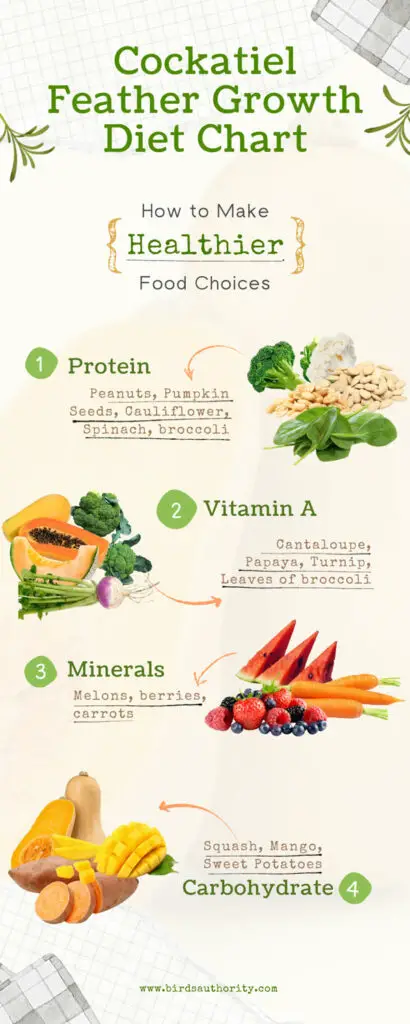 Cockatiel Feather Growth Diet Chart