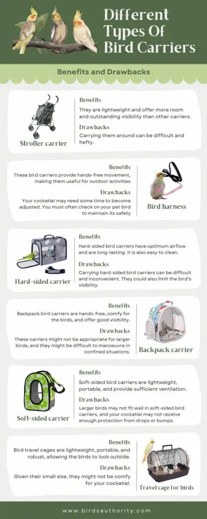 Different Types Of Bird Carriers