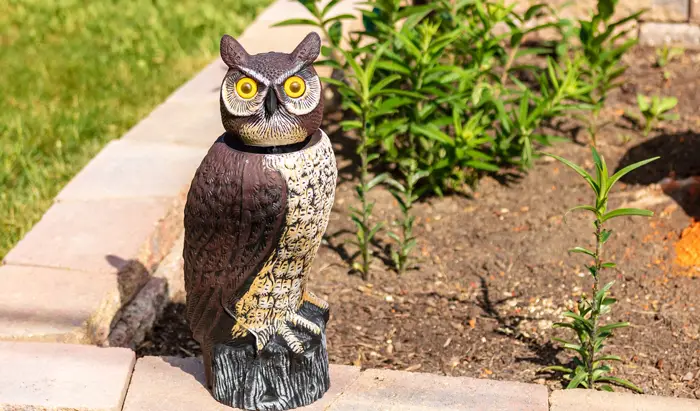 What Factors Influence the Effectiveness of Owl Decoys